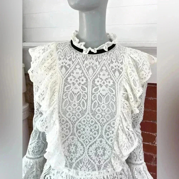 Amaryllis Lace High Neck Blouse Ruffles Long Sleeve New Romantic Sheer - Picture 3 of 15